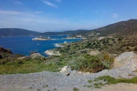 116000m² Land en Karystos, Greece No. 58982 7