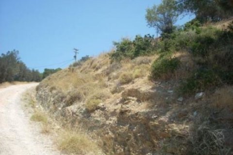 116000m² Land en Karystos, Greece No. 58982 12
