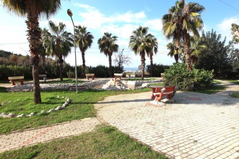 4 rooms Villa in Lien Chieu, Vietnam No. 86361 3