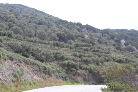 12588m² Land in Lasithi, Greece No. 112549 3