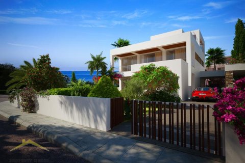 Вилла с 3 спальнями в Пафос, Кипр №39142 13