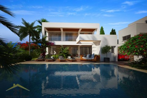 Вилла с 3 спальнями в Пафос, Кипр №39142 12