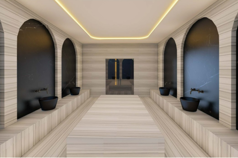 3 dormitorios Penthouse en Lien Chieu, Vietnam No. 11853 3