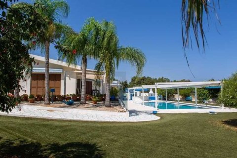 4 chambres House à Protaras, Cyprus No. 70726 1