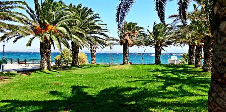 5704m² Land in Marathon, Greece No. 58763