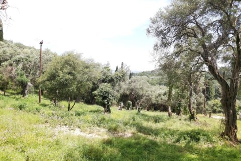 700m² Land in Corfu, Greece No. 109492 2