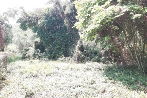 700m² Land in Corfu, Greece No. 109492 7