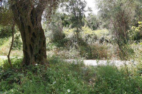 700m² Land in Corfu, Greece No. 109492 6