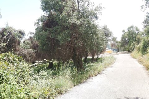 700m² Land in Corfu, Greece No. 109492 8