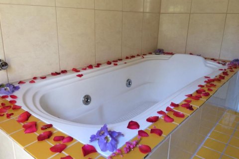 Вилла с 15 спальнями в Caete-Acu, Бразилия №62393 23