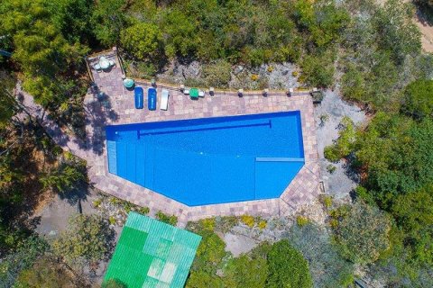 Вилла с 15 спальнями в Caete-Acu, Бразилия №62393 6