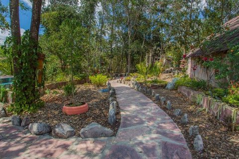 Вилла с 15 спальнями в Caete-Acu, Бразилия №62393 3