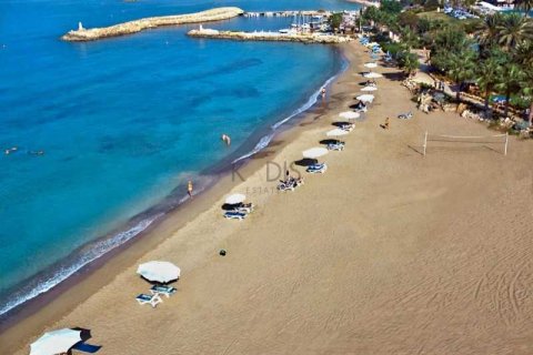 Вилла с 3 спальнями в Пейя, Кипр №80746 4