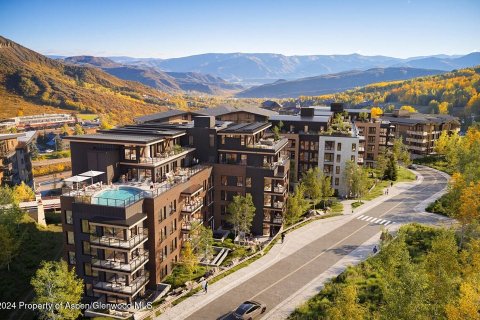 2 bedrooms Condo in Snowmass Village, USA No. 74723 3