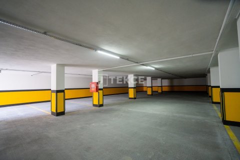 3 bedrooms Penthouse in Chau Lang, Vietnam No. 21492 12