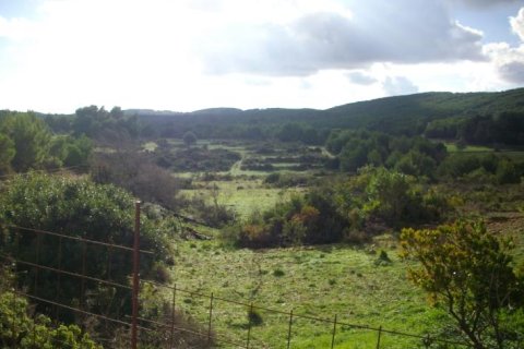 Land à Zakynthos, Greece No. 24484 9