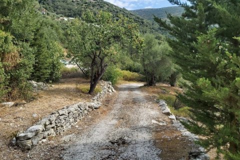 18000m² Land in Corfu, Greece No. 55910 14