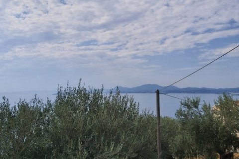 18000m² Land in Corfu, Greece No. 55910 19