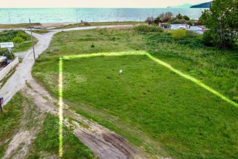 800m² Land en Thessaloniki, Greece No. 109111 5