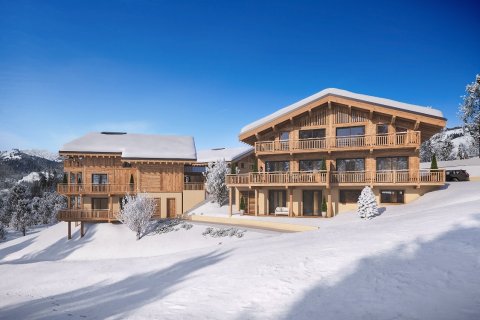 4 bedrooms Apartment in Crest-Voland, France No. 100186 3