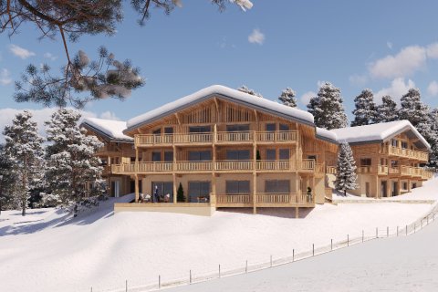 4 bedrooms Apartment in Crest-Voland, France No. 100186 5