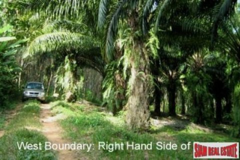 26752m² Land in Phang Nga, Thailand No. 95673 3