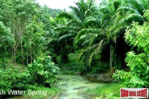 26752m² Land in Phang Nga, Thailand No. 95673 6