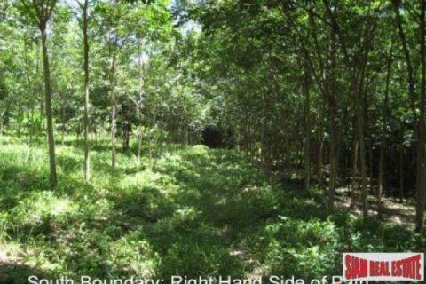 26752m² Land in Phang Nga, Thailand No. 95673 4