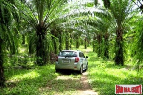 26752m² Land in Phang Nga, Thailand No. 95673 2