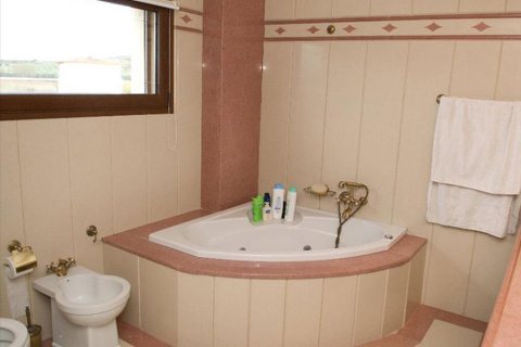 Дом с 4 спальнями в Халкидики, Греция №60534 10