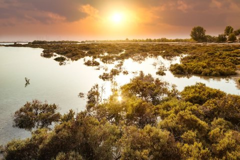 Таунхаус с 4 спальнями в Биньзыонг, Вьетнам №10507 8
