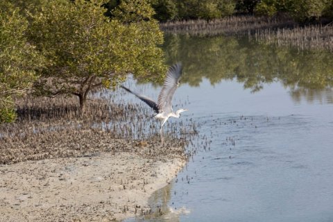 Таунхаус с 4 спальнями в Биньзыонг, Вьетнам №10507 7