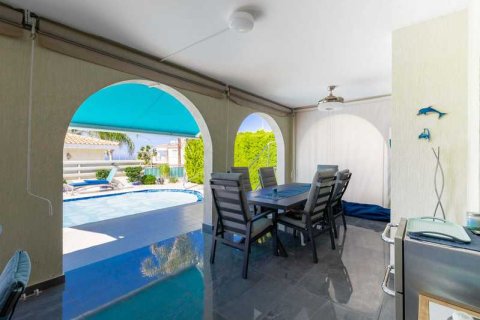 3 bedrooms House in Tala, Cyprus No. 101056 15