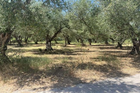 Land en Zakynthos, Greece No. 69509 17