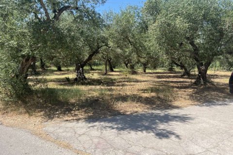 Land en Zakynthos, Greece No. 69509 14