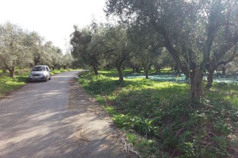 Land en Zakynthos, Greece No. 69509 2