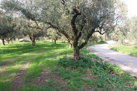 Land en Zakynthos, Greece No. 69509 9