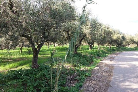 Land en Zakynthos, Greece No. 69509 6