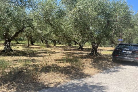 Land en Zakynthos, Greece No. 69509 16