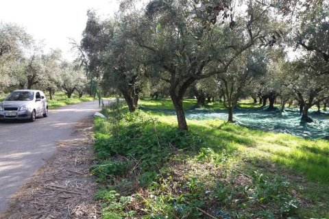 Land en Zakynthos, Greece No. 69509 8