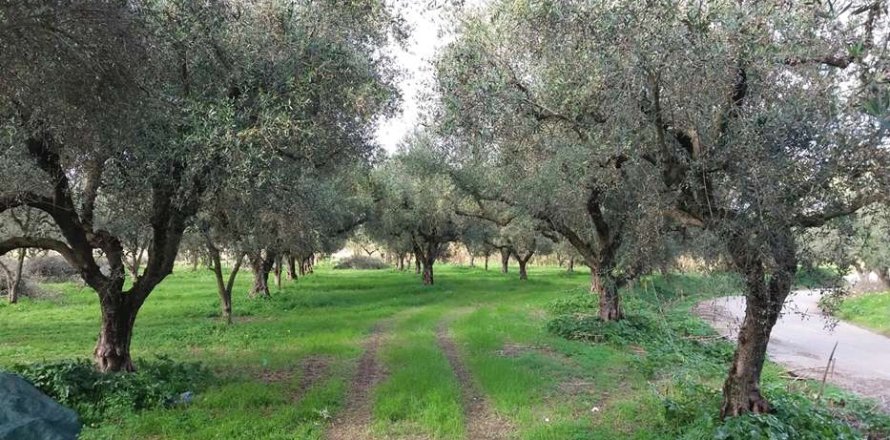 Land en Zakynthos, Greece No. 69509