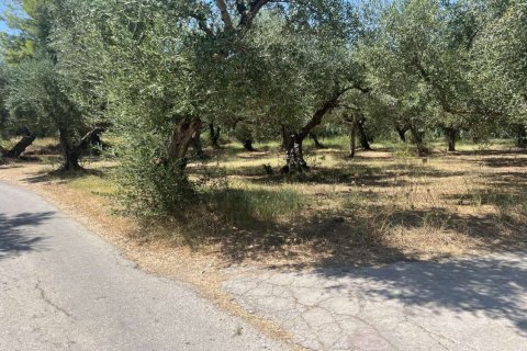 Land en Zakynthos, Greece No. 69509 15