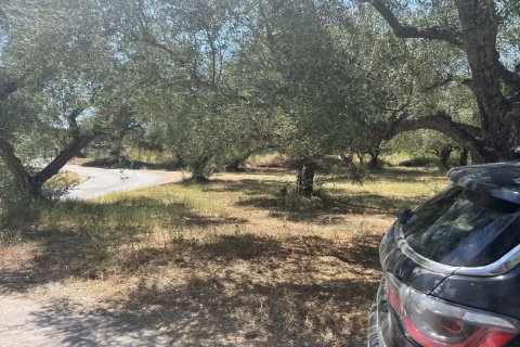 Land en Zakynthos, Greece No. 69509 13
