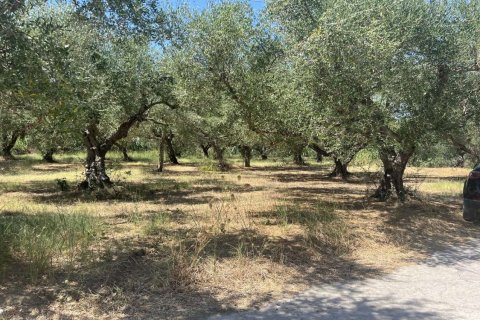 Land en Zakynthos, Greece No. 69509 12