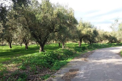 Land en Zakynthos, Greece No. 69509 5