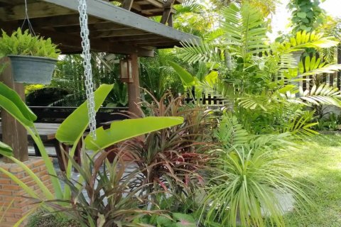 Коммерческая недвижимость с 6 спальнями в Чиангмай, Таиланд №97599 16