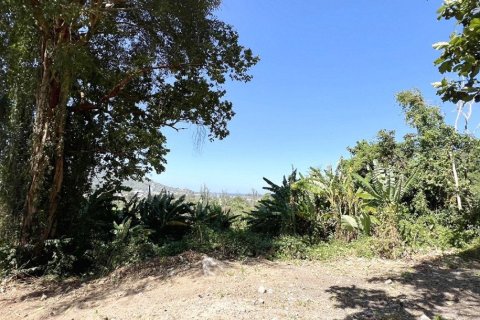 2497m² Land in Kamala, Thailand No. 96777 9