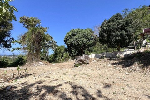 2497m² Land in Kamala, Thailand No. 96777 4