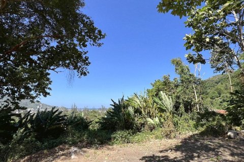 2497m² Land in Kamala, Thailand No. 96777 7