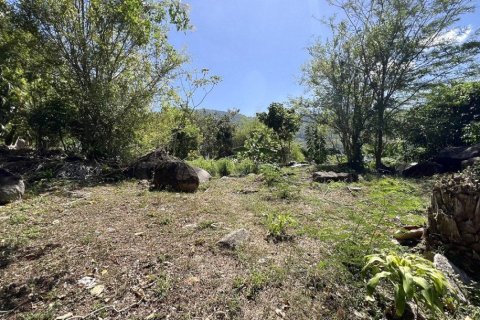 2497m² Land in Kamala, Thailand No. 96777 16